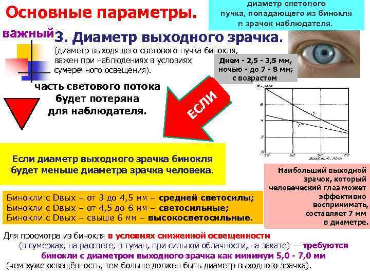 диаметр светового пучка, попадающего из бинокля в зрачок наблюдателя. Основные параметры. важный 3. Диаметр