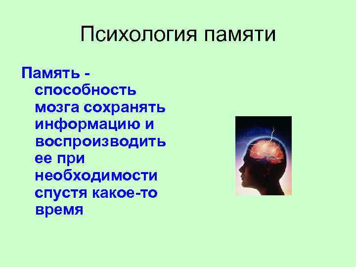 Психология памяти Память способность мозга сохранять информацию и воспроизводить ее при необходимости спустя какое-то