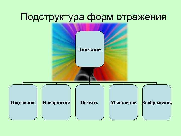 Подструктура форм отражения Внимание Ощущение Восприятие Память Мышление Воображение 