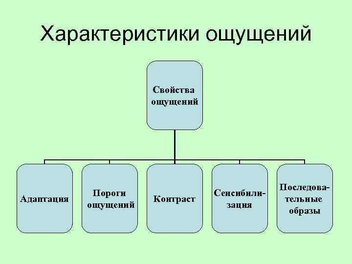 Характеристики ощущений Свойства ощущений Адаптация Пороги ощущений Контраст Сенсибилизация Последовательные образы 