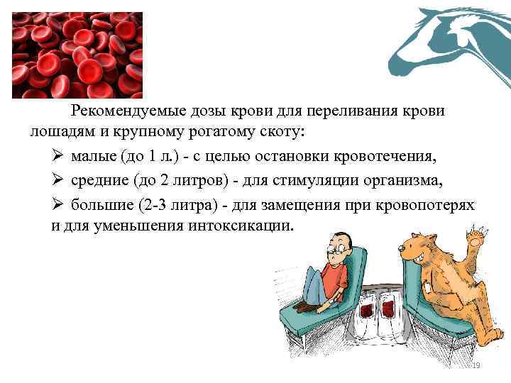 Рекомендуемые дозы крови для переливания крови лошадям и крупному рогатому скоту: Ø малые (до