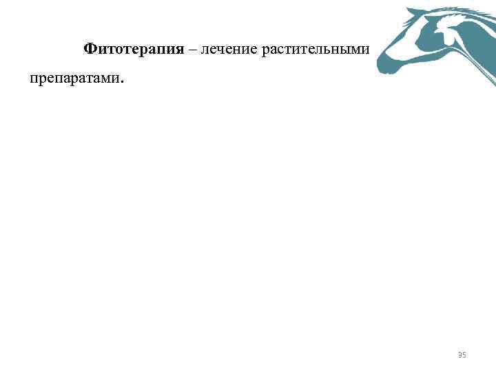Фитотерапия – лечение растительными препаратами. 35 