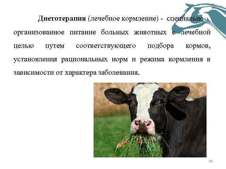  Диетотерапия (лечебное кормление) специально организованное питание больных животных с лечебной целью путем соответствующего