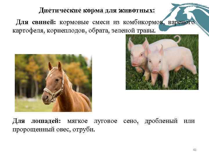 Диетические корма для животных: Для свиней: кормовые смеси из комбикормов, вареного картофеля, корнеплодов, обрата,