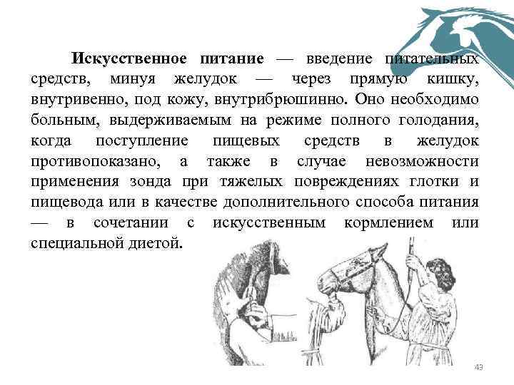 Искусственное питание — введение питательных средств, минуя желудок — через прямую кишку, внутривенно, под