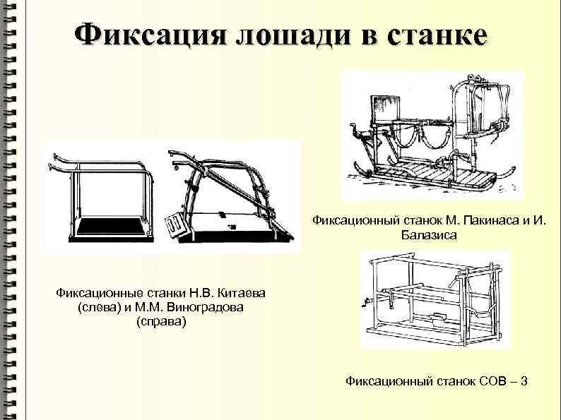 Фиксация лошади в станке Фиксационный станок М. Пакинаса и И. Балазиса Фиксационные станки Н.