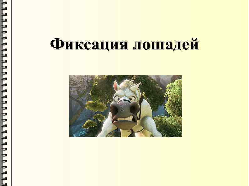 Фиксация лошадей 