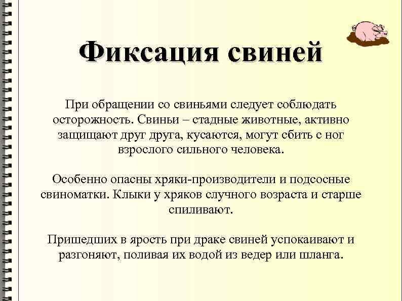 Фиксация свиней При обращении со свиньями следует соблюдать осторожность. Свиньи – стадные животные, активно