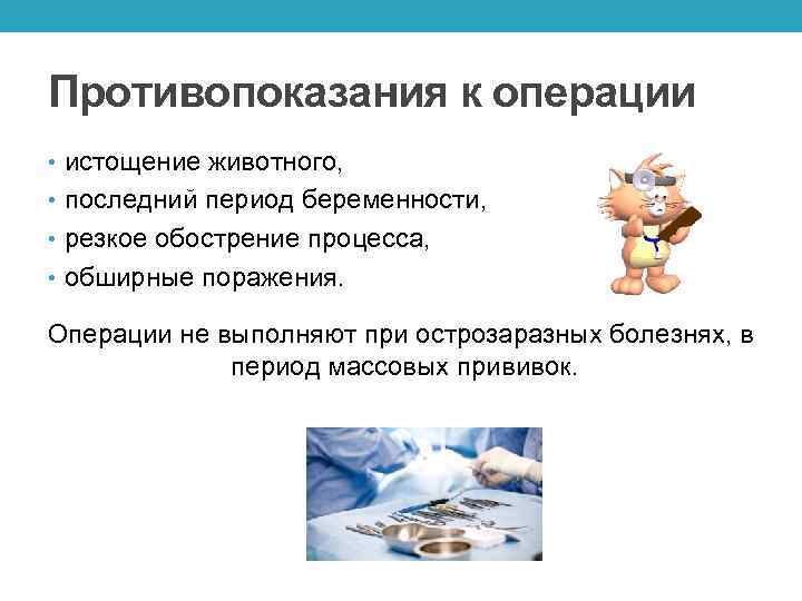 Противопоказания к операции • истощение животного, • последний период беременности, • резкое обострение процесса,
