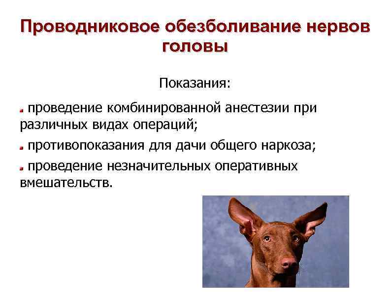 Проводниковое обезболивание нервов головы Показания: проведение комбинированной анестезии при различных видах операций; противопоказания для