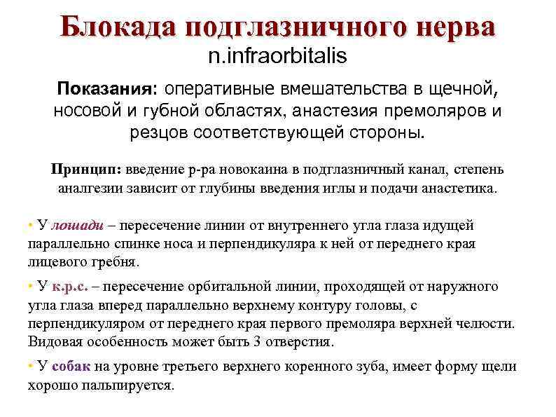 Блокада подглазничного нерва n. infraorbitalis Показания: оперативные вмешательства в щечной, носовой и губной областях,
