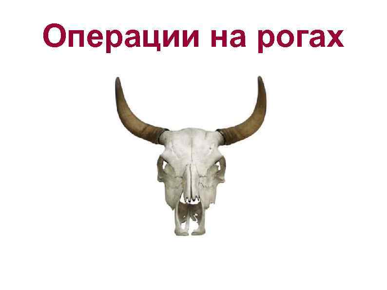 Операции на рогах 