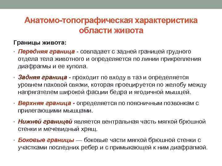Анатомо-топографическая характеристика области живота Границы живота: • Передняя граница совпадает с задней границей грудного