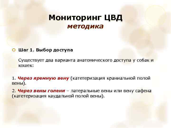 Мониторинг ЦВД методика Шаг 1. Выбор доступа Существует два варианта анатомического доступа у собак