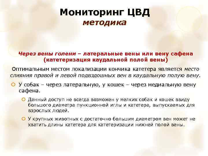 Мониторинг ЦВД методика Через вены голени – латеральные вены или вену сафена (катетеризация каудальной