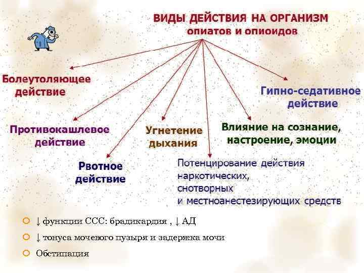  ↓ функции ССС: брадикардия , ↓ АД ↓ тонуса мочевого пузыря и задержка