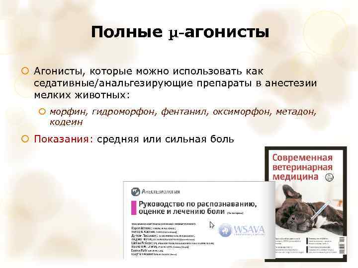 Полные μ-агонисты Агонисты, которые можно использовать как седативные/анальгезирующие препараты в анестезии мелких животных: морфин,