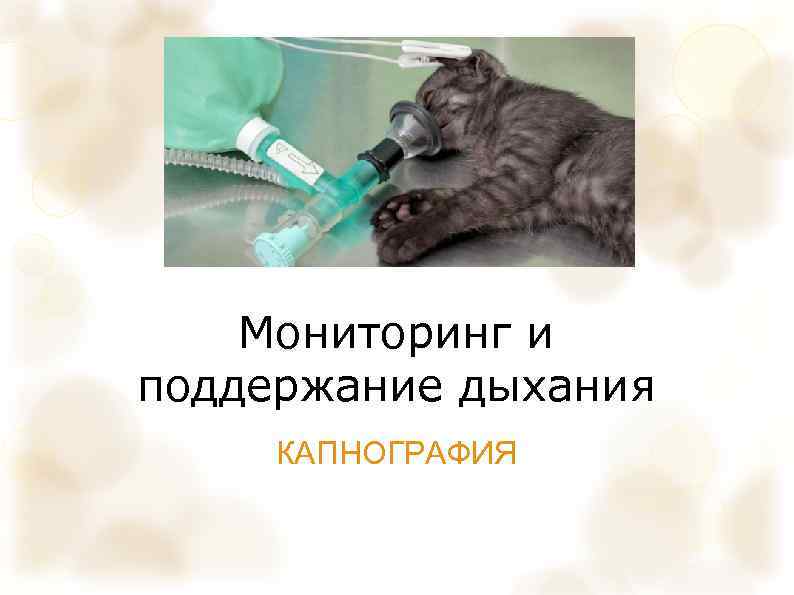 Мониторинг и поддержание дыхания КАПНОГРАФИЯ 