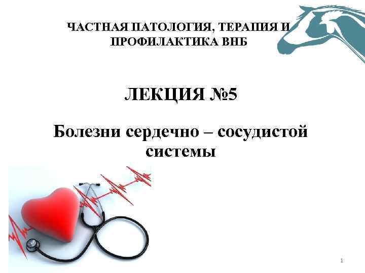 ЧАСТНАЯ ПАТОЛОГИЯ, ТЕРАПИЯ И ПРОФИЛАКТИКА ВНБ ЛЕКЦИЯ № 5 Болезни сердечно – сосудистой системы