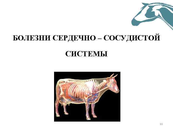 БОЛЕЗНИ СЕРДЕЧНО – СОСУДИСТОЙ СИСТЕМЫ 11 