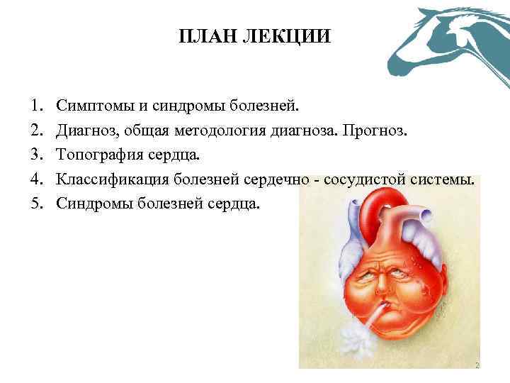 ПЛАН ЛЕКЦИИ 1. 2. 3. 4. 5. Симптомы и синдромы болезней. Диагноз, общая методология