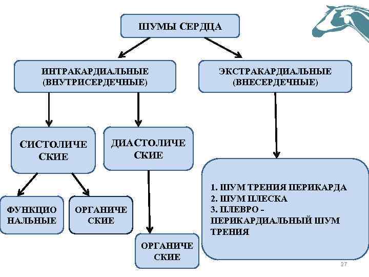 ШУМЫ СЕРДЦА ИНТРАКАРДИАЛЬНЫЕ (ВНУТРИСЕРДЕЧНЫЕ) СИСТОЛИЧЕ СКИЕ ФУНКЦИО НАЛЬНЫЕ ЭКСТРАКАРДИАЛЬНЫЕ (ВНЕСЕРДЕЧНЫЕ) ДИАСТОЛИЧЕ СКИЕ 1. ШУМ