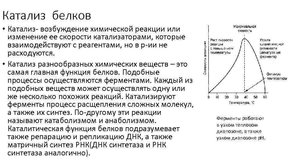 Катализ белков • Катализ- возбуждение химической реакции или изменение ее скорости катализаторами, которые взаимодействуют