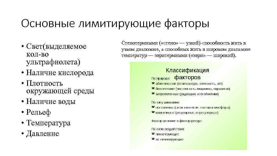 Основные лимитирующие факторы • Свет(выделяемое кол-во ультрафиолета) • Наличие кислорода • Плотность окружающей среды