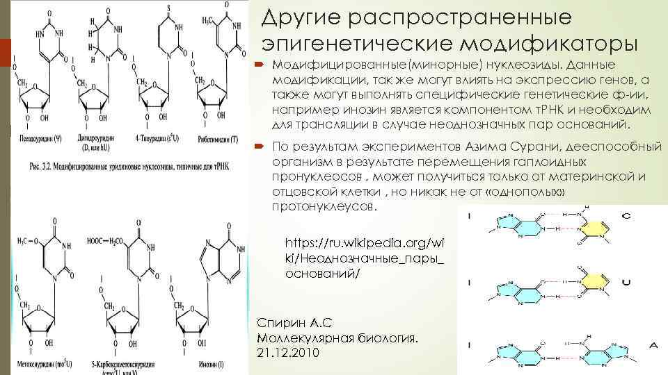 Понятие эпигенетика понятие биоинформатика презентация