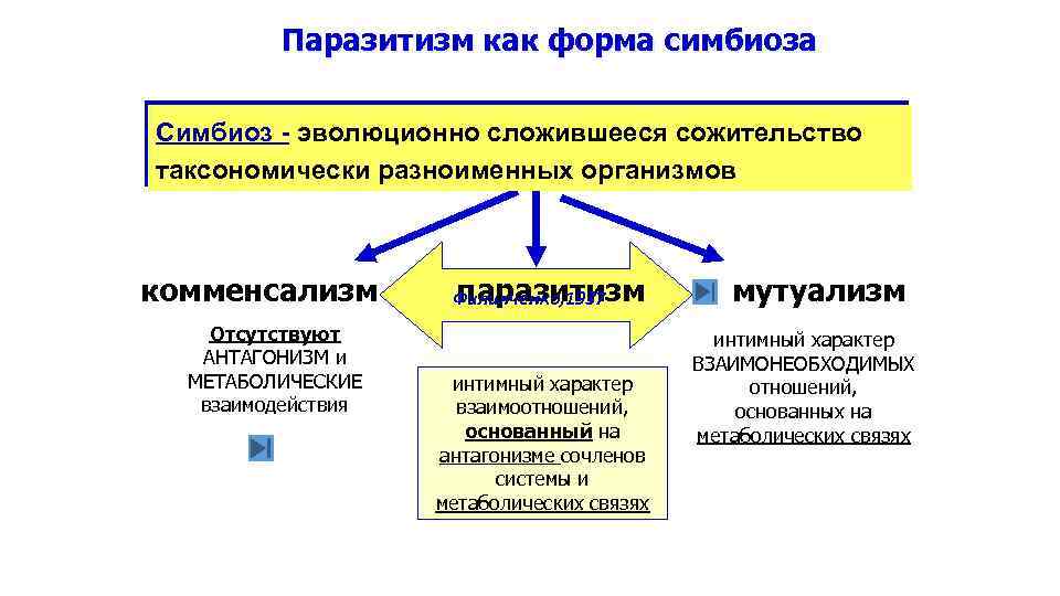 Паразитизм как форма симбиоза Симбиоз - эволюционно сложившееся сожительство таксономически разноименных организмов комменсализм Отсутствуют