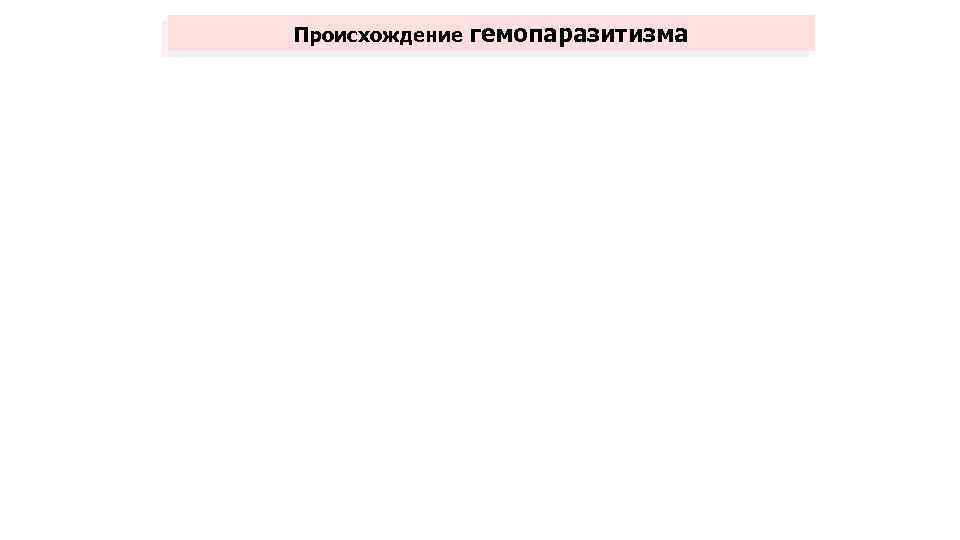 Происхождение гемопаразитизма 1 версия Кишечный паразитизм у б/п 2 версия Кишечный паразитизм у позв.