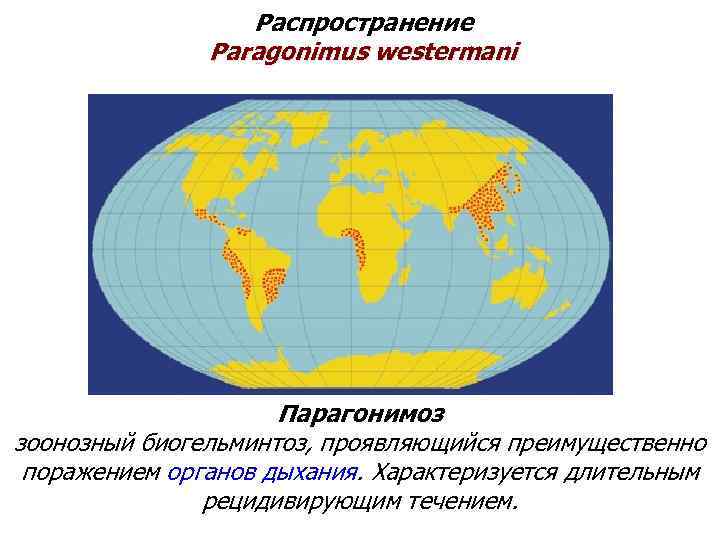 Распространение Paragonimus westermani Парагонимоз зоонозный биогельминтоз, проявляющийся преимущественно поражением органов дыхания. Характеризуется длительным рецидивирующим