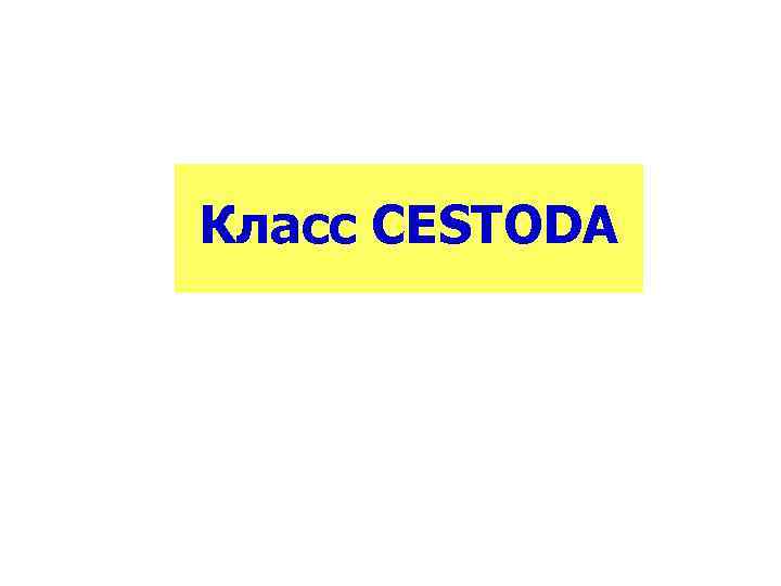 Класс CESTODA 