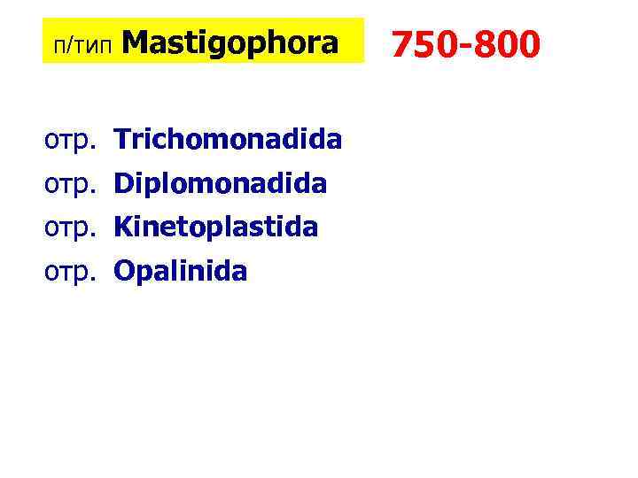  п/тип Mastigophora отр. Trichomonadida отр. Diplomonadida отр. Kinetoplastida отр. Opalinida 750 -800 