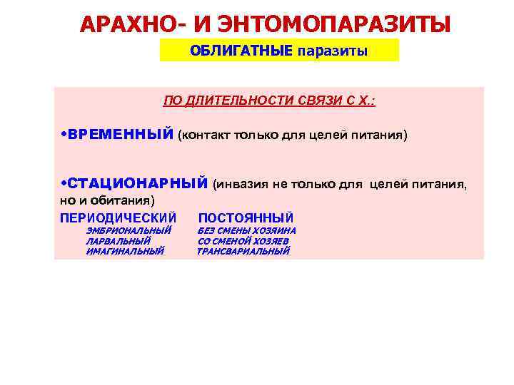 АРАХНО- И ЭНТОМОПАРАЗИТЫ ОБЛИГАТНЫЕ паразиты ПО ДЛИТЕЛЬНОСТИ СВЯЗИ С Х. : • ВРЕМЕННЫЙ (контакт