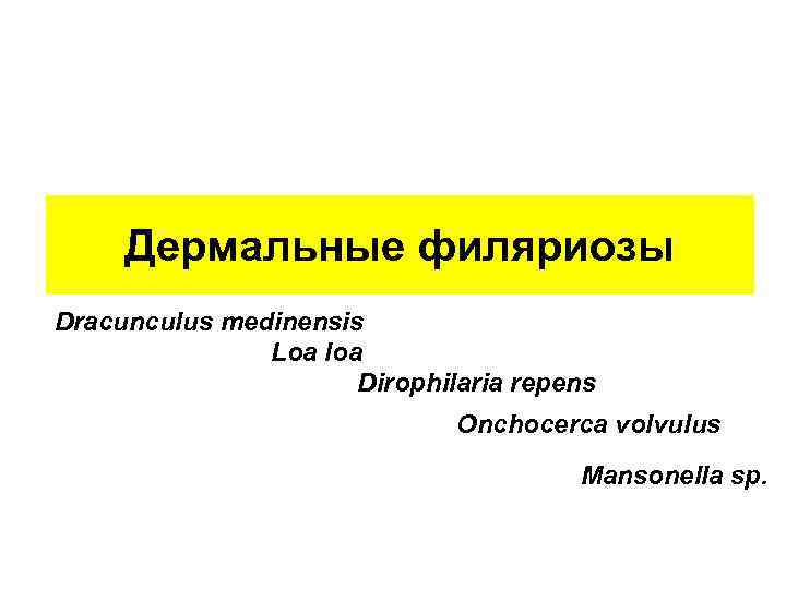 Дермальные филяриозы Dracunculus medinensis Loa loa Dirophilaria repens Onchocerca volvulus Mansonella sp. 