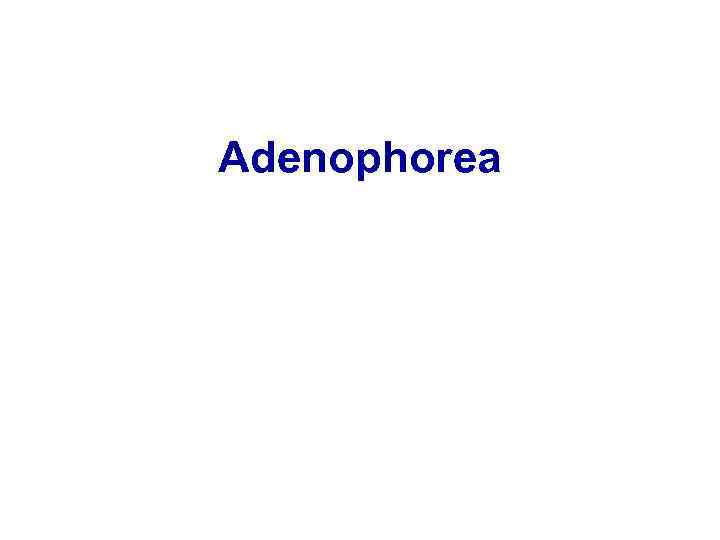 Adenophorea 