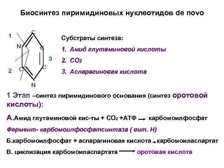 Биосинтез пиримидиновых нуклеотидов de novo C 1 N Субстраты синтеза: C 1. Амид глутаминовой