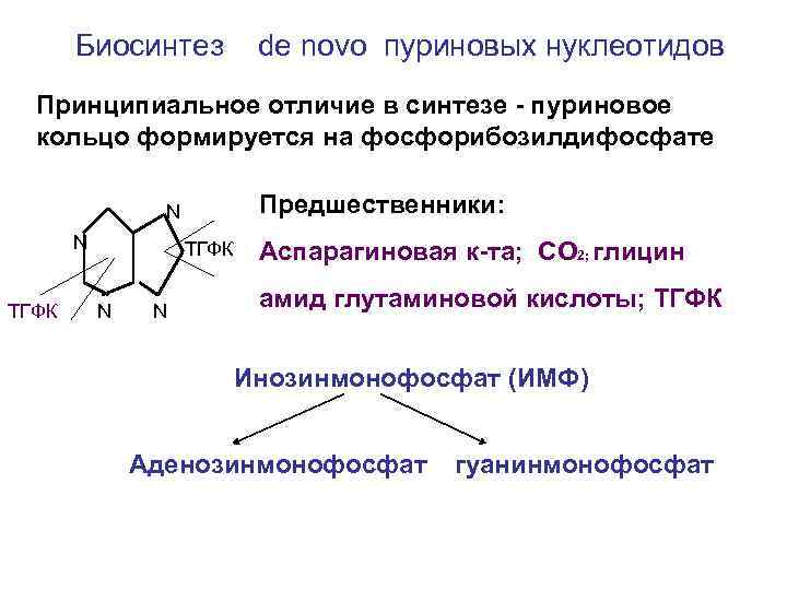 Биосинтез de novo пуриновых нуклеотидов Принципиальное отличие в синтезе - пуриновое кольцо формируется на