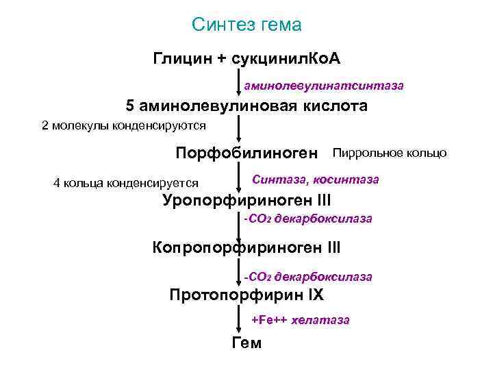 Синтез гема Глицин + сукцинил. Ко. А аминолевулинатсинтаза 5 аминолевулиновая кислота 2 молекулы конденсируются