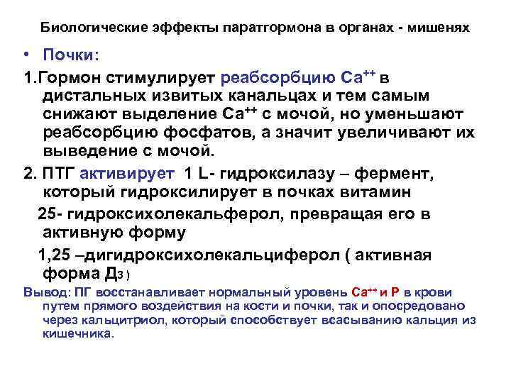 Биологические эффекты паратгормона в органах - мишенях • Почки: 1. Гормон стимулирует реабсорбцию Са++