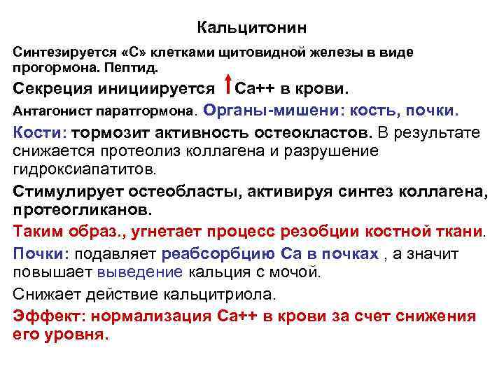 Кальцитонин Синтезируется «С» клетками щитовидной железы в виде прогормона. Пептид. Секреция инициируется Са++ в