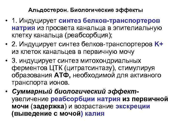 Альдостерон. Биологические эффекты • 1. Индуцирует синтез белков-транспортеров натрия из просвета канальца в эпителиальную