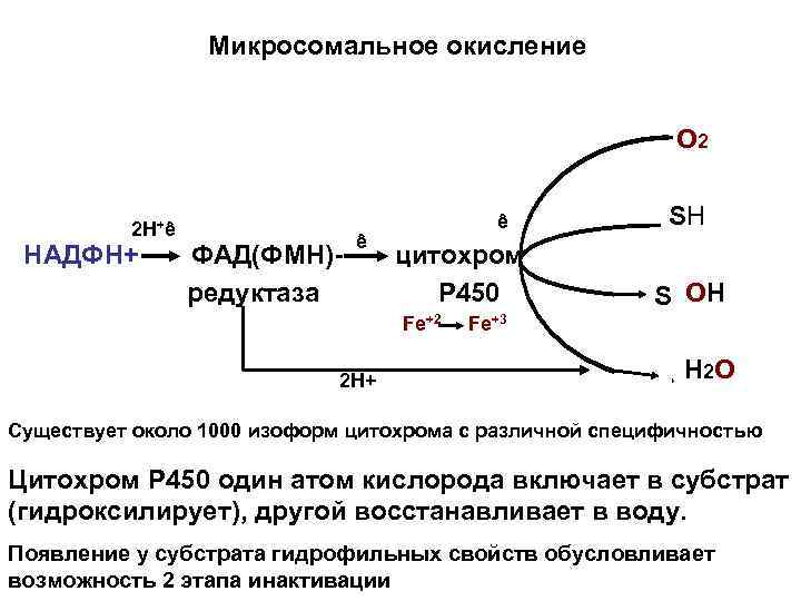 Микросомальное окисление О 2 2 Н+ê НАДФН+ ФАД(ФМН)редуктаза ê ê цитохром Р 450 Fe+2