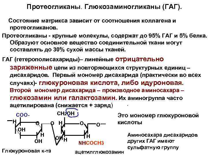 Протеогликаны. Глюкозаминогликаны (ГАГ). Состояние матрикса зависит от соотношения коллагена и протеогликанов. Протеогликаны - крупные