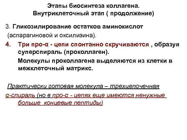 Этапы биосинтеза коллагена. Внутриклеточный этап ( продолжение) 3. Гликозилирование остатков аминокислот (аспарагиновой и оксилизина).