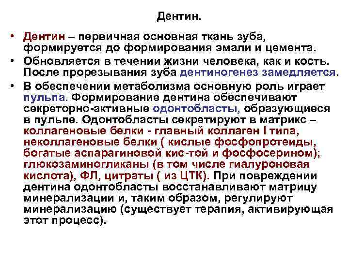 Дентин. • Дентин – первичная основная ткань зуба, формируется до формирования эмали и цемента.