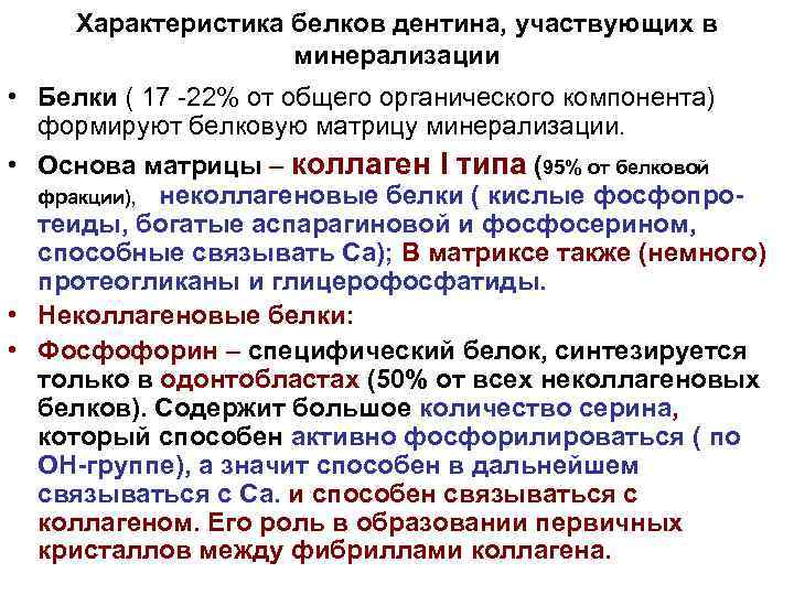 Характеристика белков дентина, участвующих в минерализации • Белки ( 17 -22% от общего органического