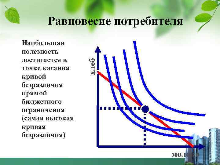 Наибольшая полезность достигается в точке касания кривой безразличия прямой бюджетного ограничения (самая высокая кривая