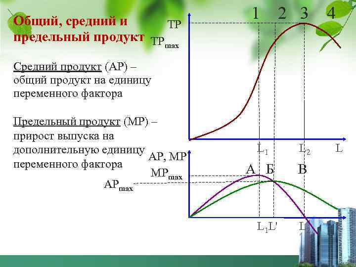 Общий, средний и ТР предельный продукт ТР max 1 2 3 4 Средний продукт